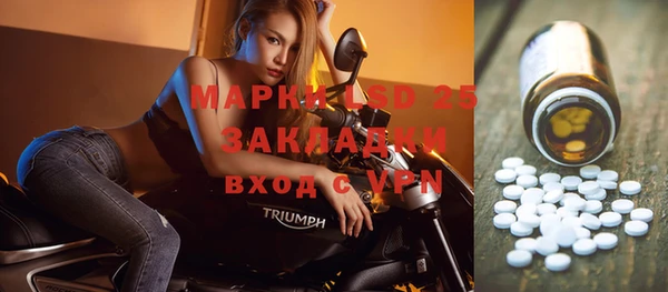 молекула духа Аркадак