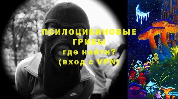 молекула духа Аркадак