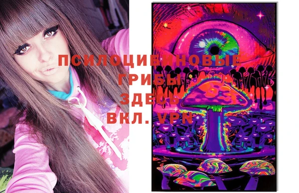 молекула духа Аркадак