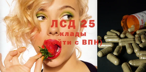 молекула духа Аркадак